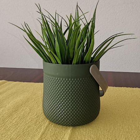 Center Apartment Delfina أوهغيد المظهر الخارجي الصورة